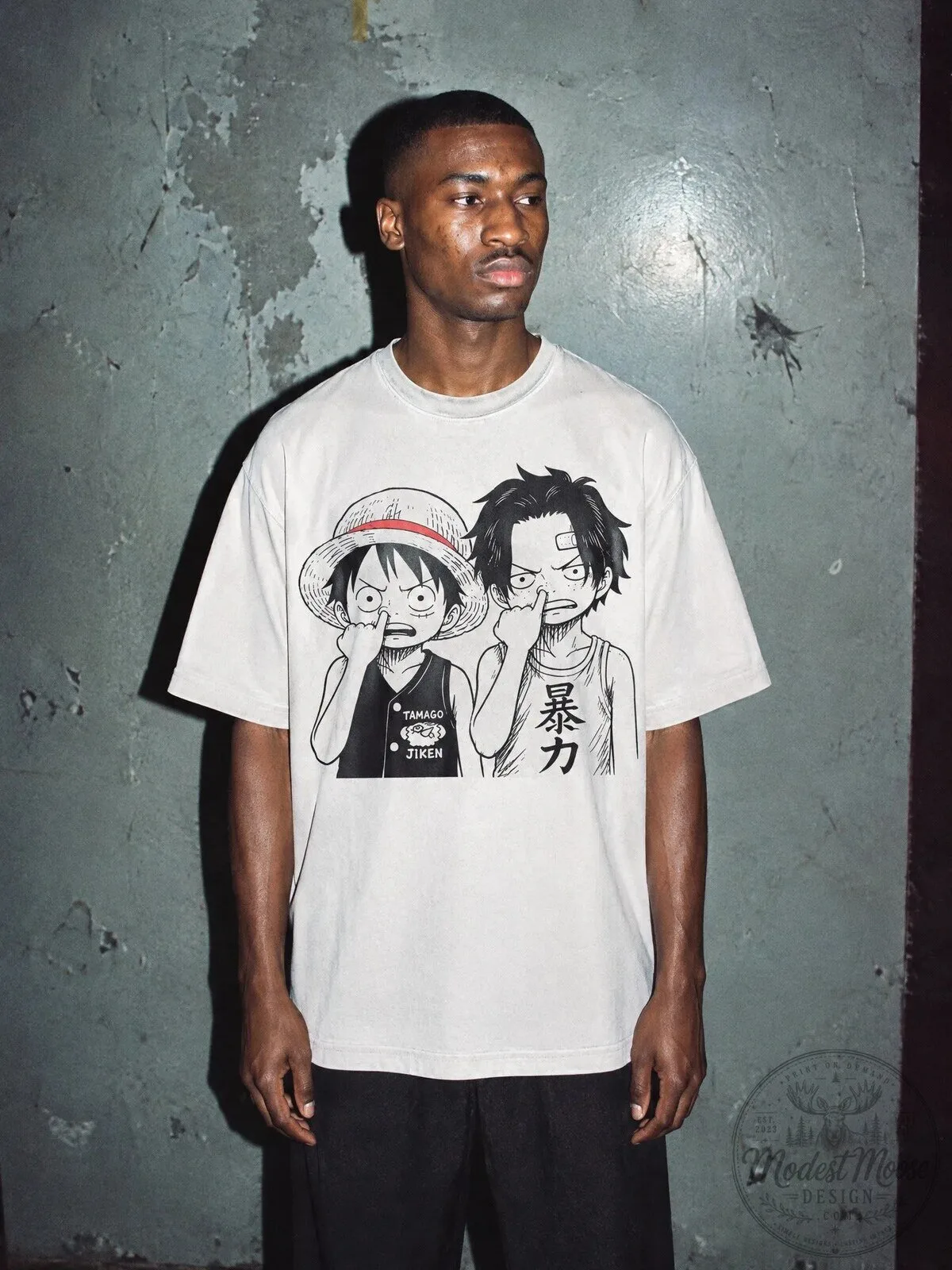 One Piece Monkey D Luffy and Portgas D Ace Troublemaker Brothers T-Shirt